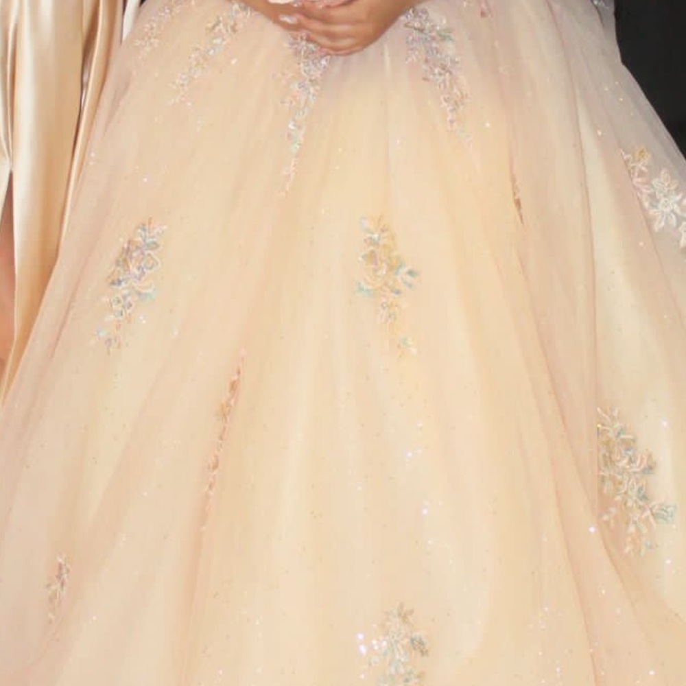 Elegant Peach Embroidered Gown